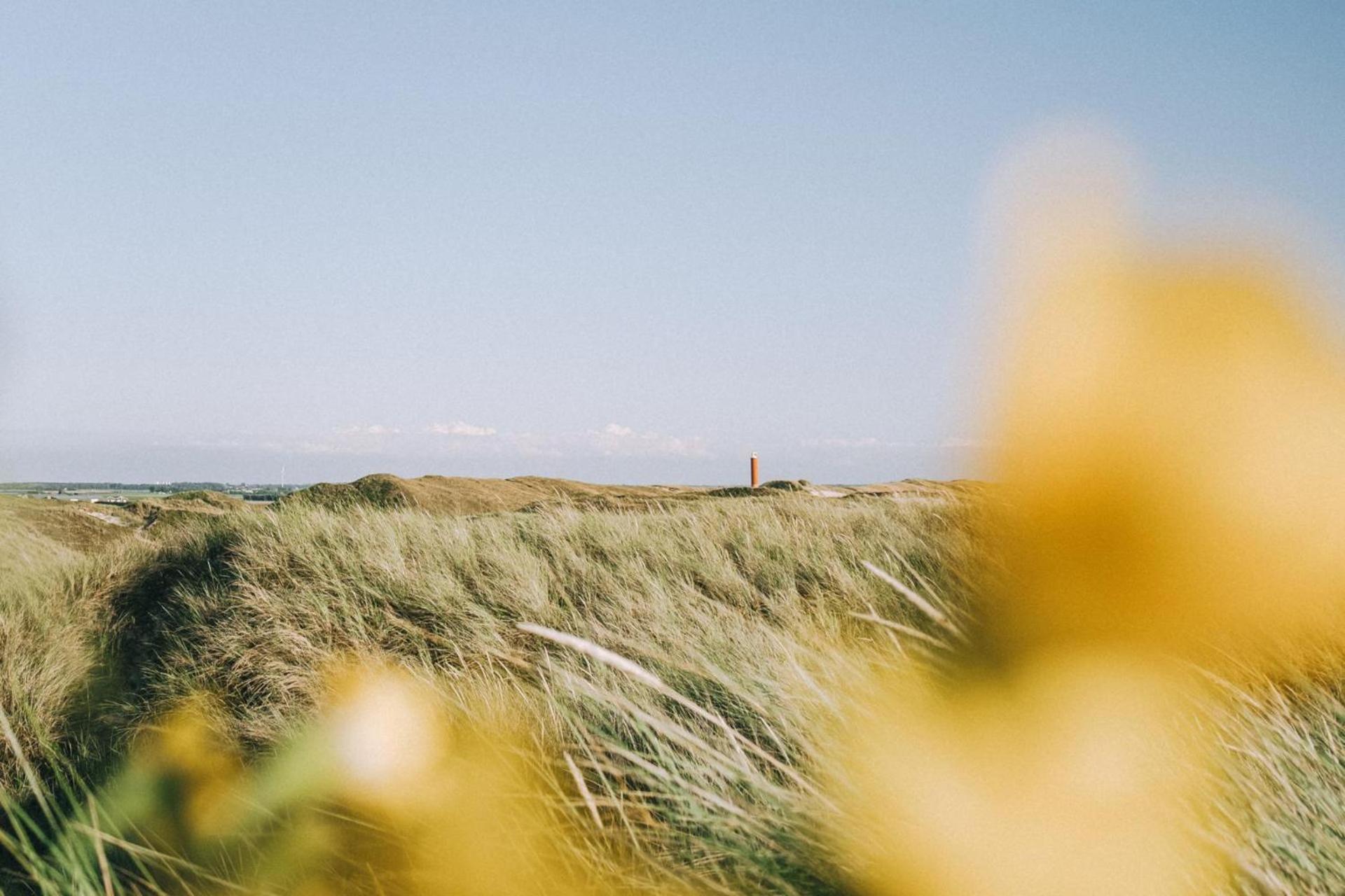 Vakantiehuis Beau - Julianadorp Aan Zee Kültér fotó