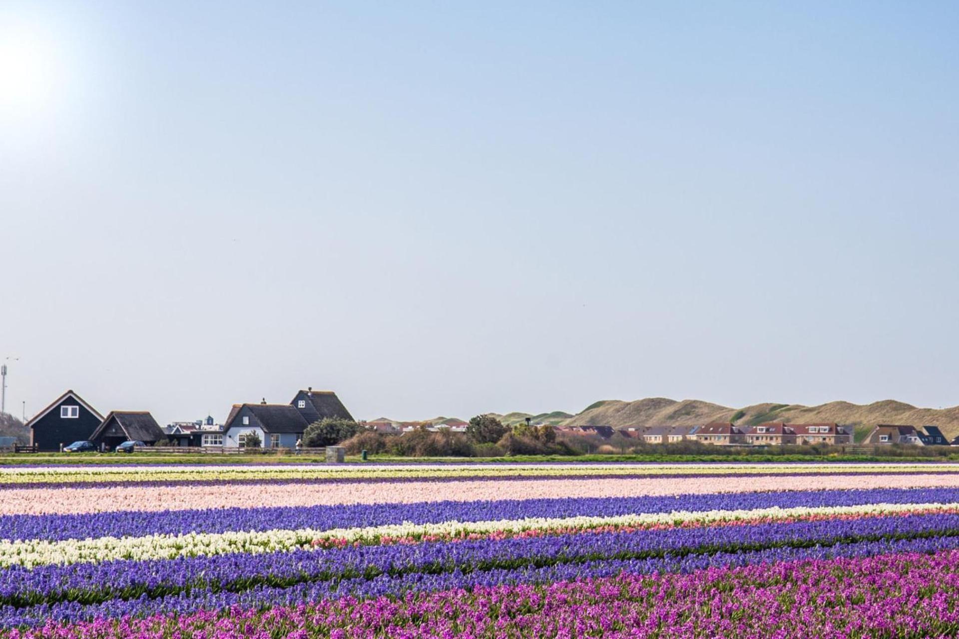Vakantiehuis Beau - Julianadorp Aan Zee Kültér fotó